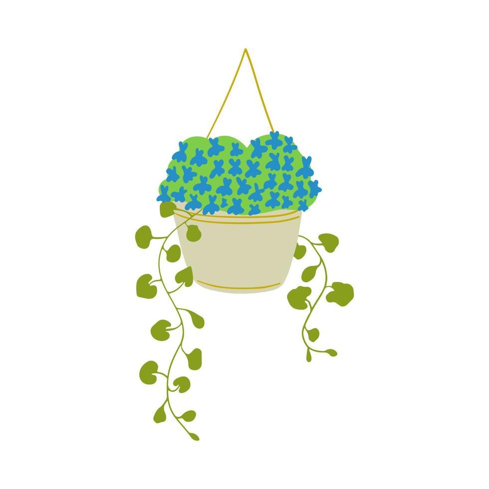 Lobelia bloemen en dichondra fabriek groeit in een hangende mand. vector illustratie. achteraan planten voor een zomer tuin.