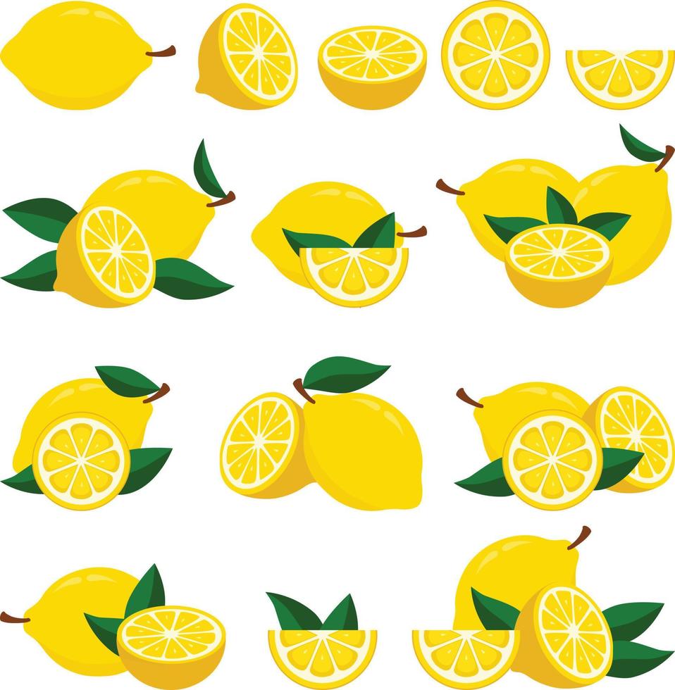 vers citroen reeks illustraties. een reeks van citroenen met groen bladeren Aan hen vector