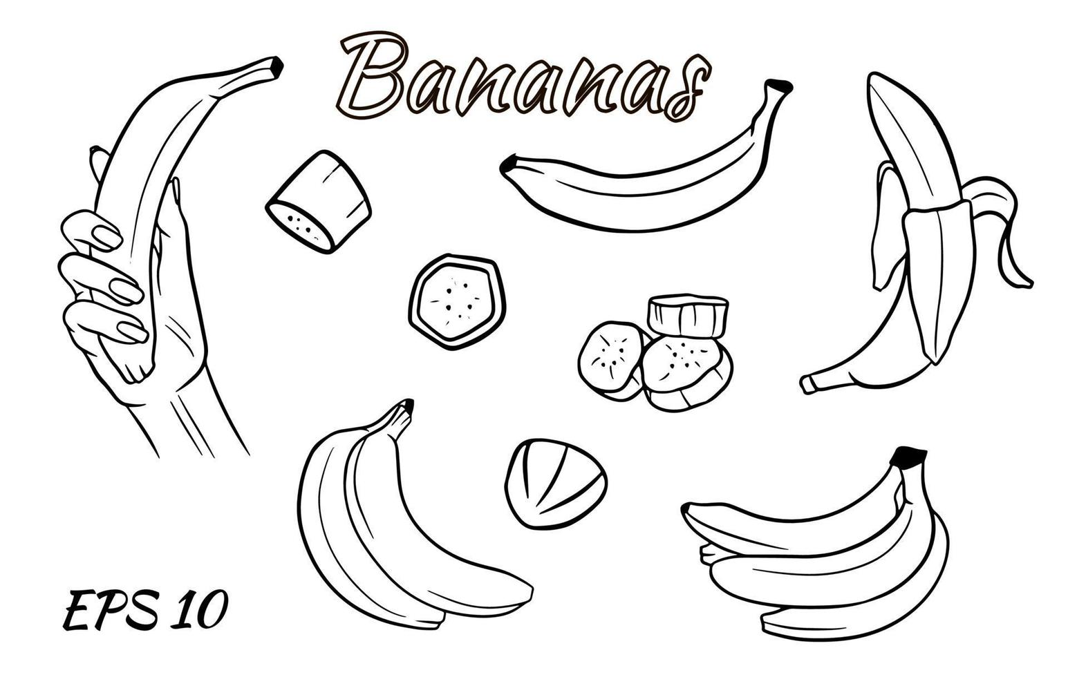 vector set van bananen. banaan in de hand, plakjes banaan, bananen in een bos.