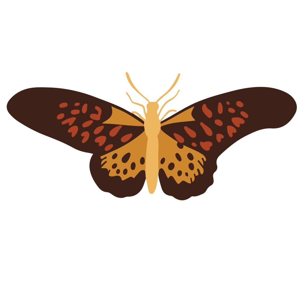 mooi oranje tuin vlinder, mooi zo voor grafisch ontwerp middelen vector