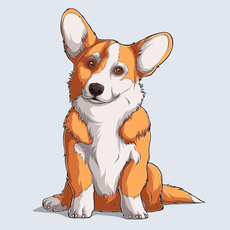 schattige welsh corgi pluizige pembroke hondenzitting geïsoleerd vector