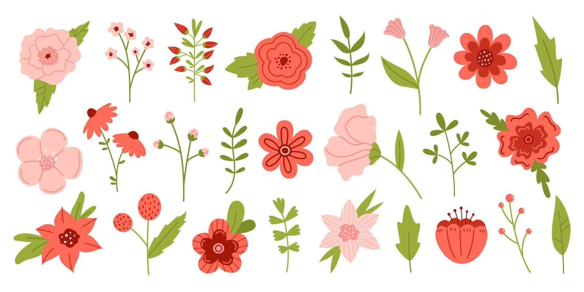 vector rood en roze bloesem bloemen. botanisch reeks in vlak ontwerp. prachtig bloem verzameling voor boeket ontwerp. voorjaar en zomer divers bloeiend planten.