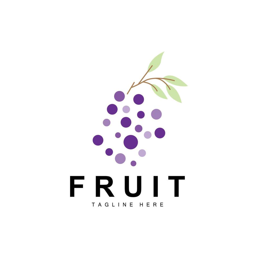 druif logo, boerderij fruit vector, vers Purper fruit ontwerp, druif Product icoon, fruit winkel vector