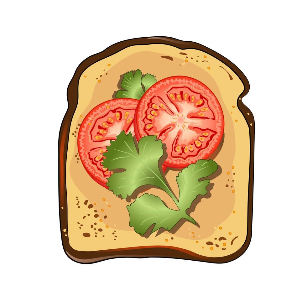toast met tomaten en peterselie. vector illustratie.