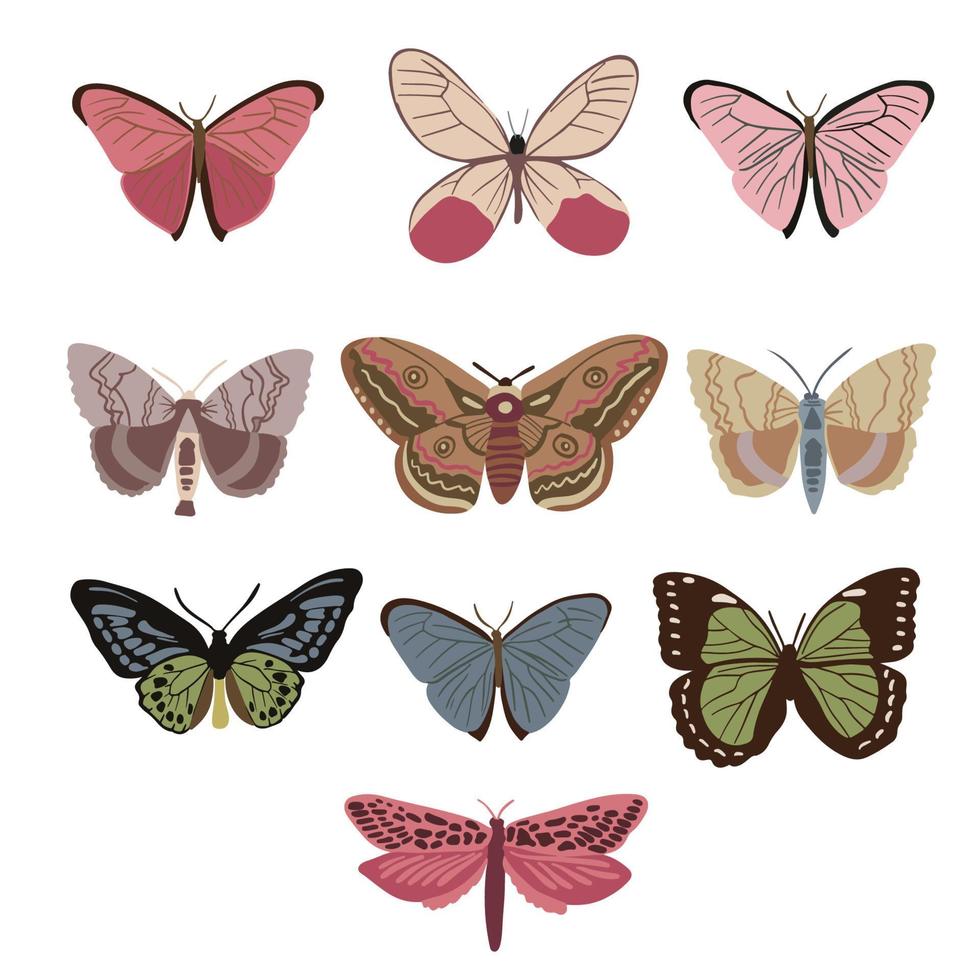 sets van mooi mot en vlinder, mooi zo voor grafisch ontwerp middelen vector