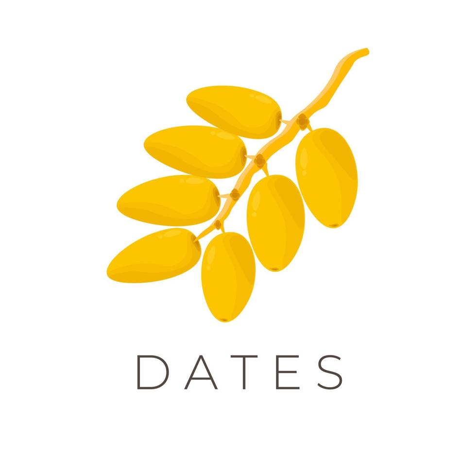 khalal sukkari geel datum fruit illustratie logo vector