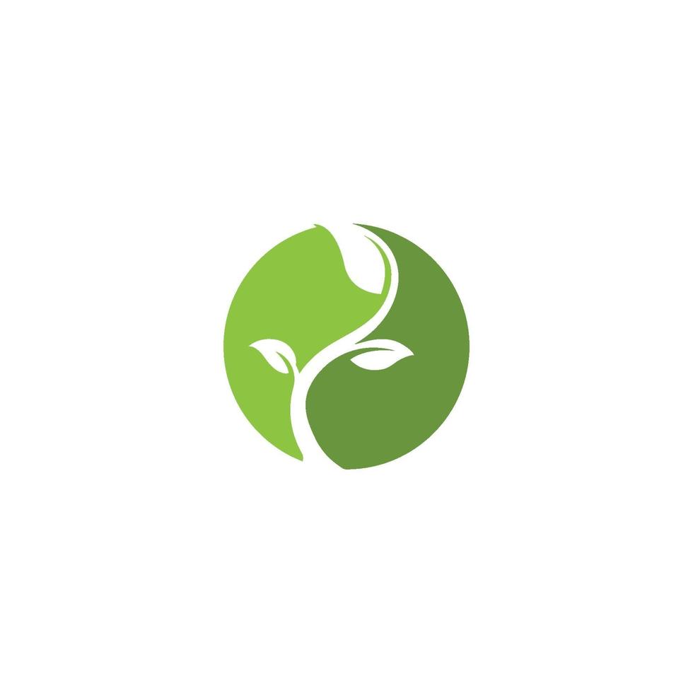 logo's van groen blad ecologie natuurelement vector pictogram