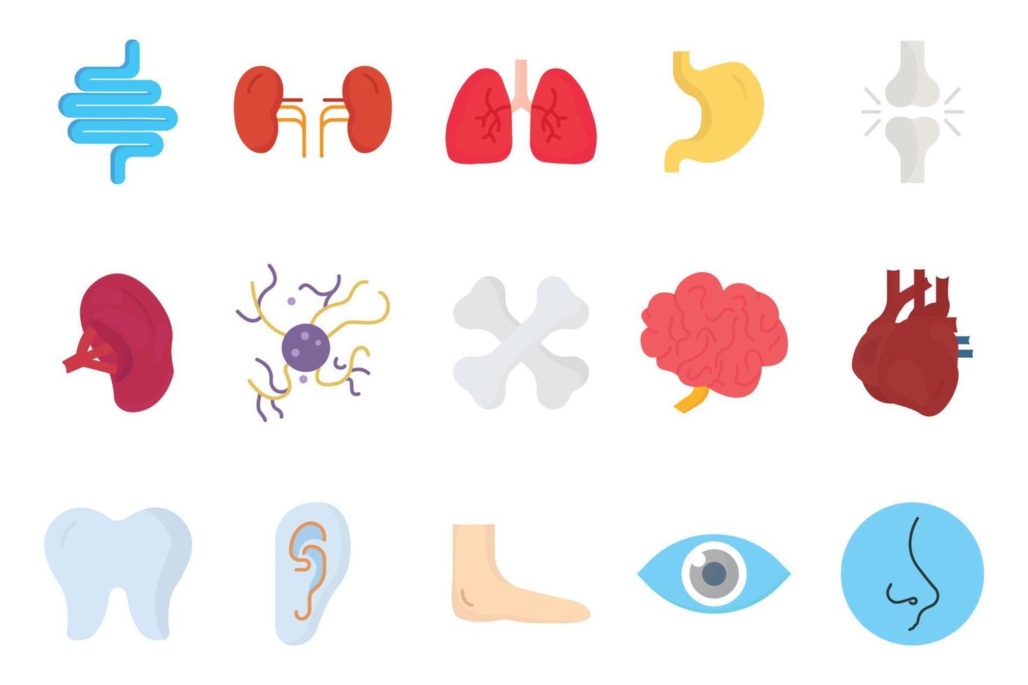 menselijk organen icoon reeks illustratie. ingewanden, nieren, longen, maag, gewrichten, milt, brein, lever, neus- en anderen. vlak icoon stijl. gemakkelijk vector ontwerp bewerkbare