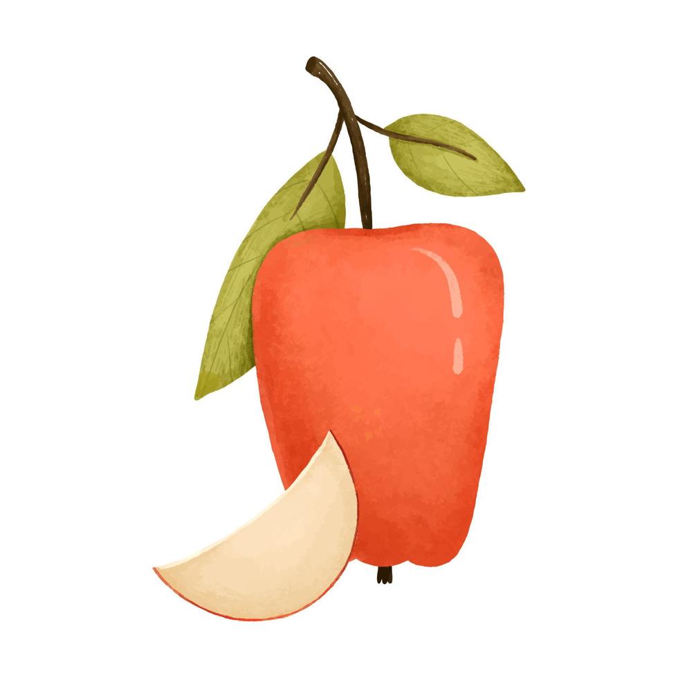 hand- getrokken rood en groen appels reeks met besnoeiing voor de helft, geïsoleerd Aan wit achtergrond. heerlijk voedsel illustratie, veganistisch voedsel vector