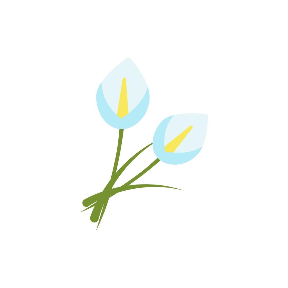 calla lelie bloemen wit kleur vector icoon