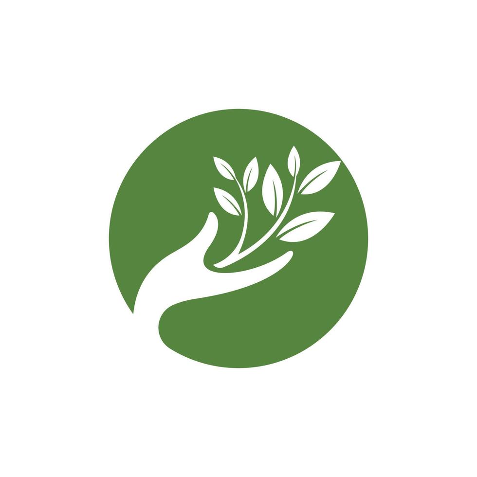 logo's van groene boom blad ecologie vector