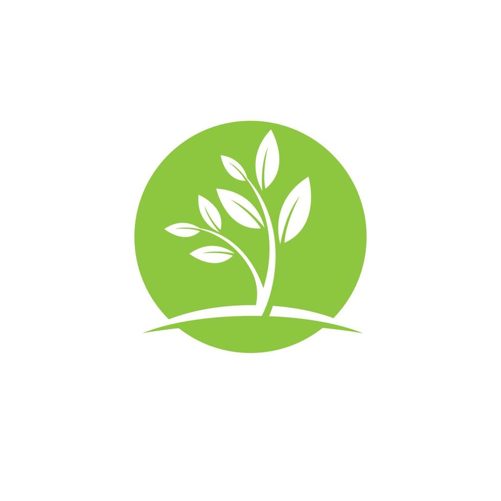 logo's van groene boom blad ecologie vector