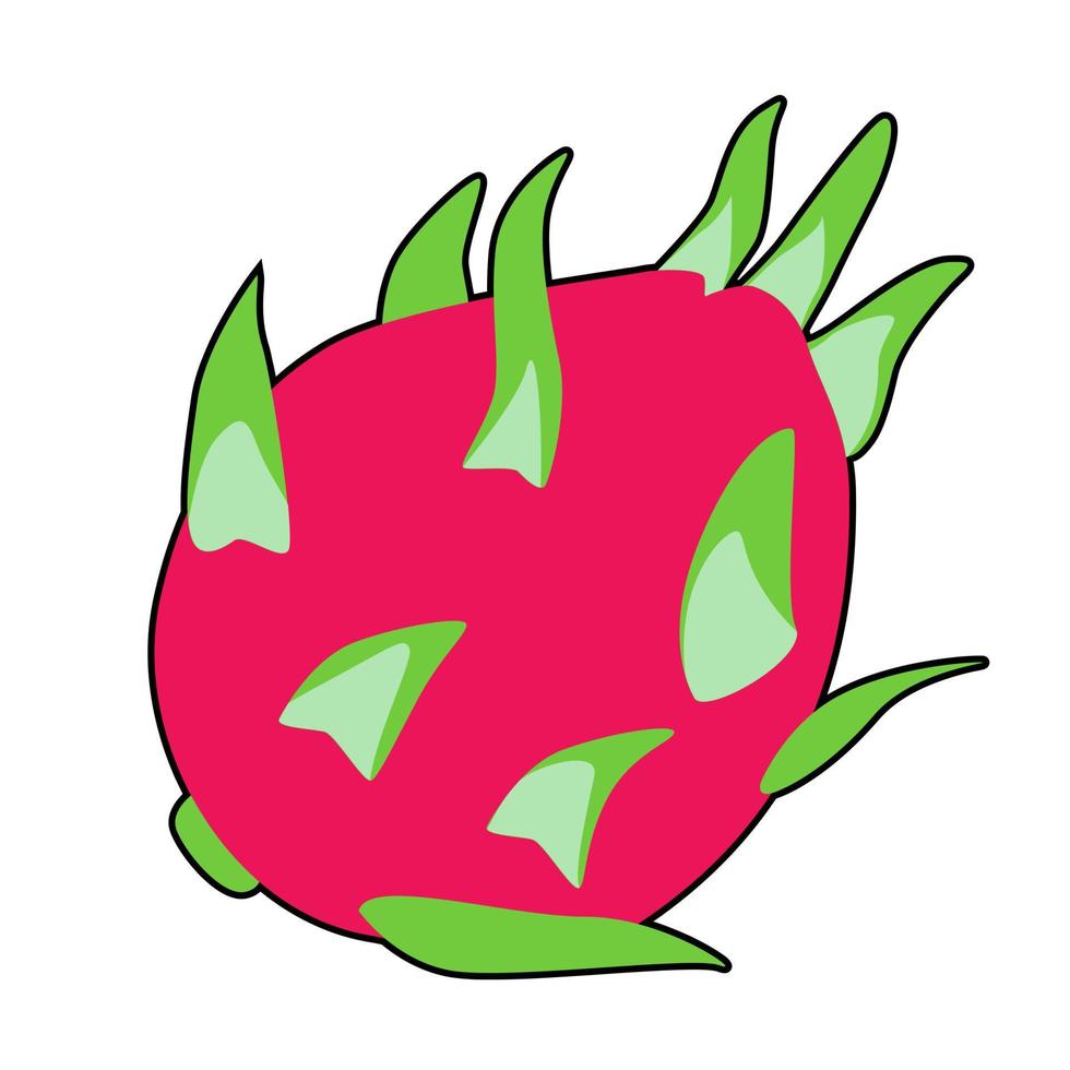 draak fruit icoon in tekenfilm stijl geïsoleerd Aan wit achtergrond. exotisch fruit symbool voorraad vector illustratie.