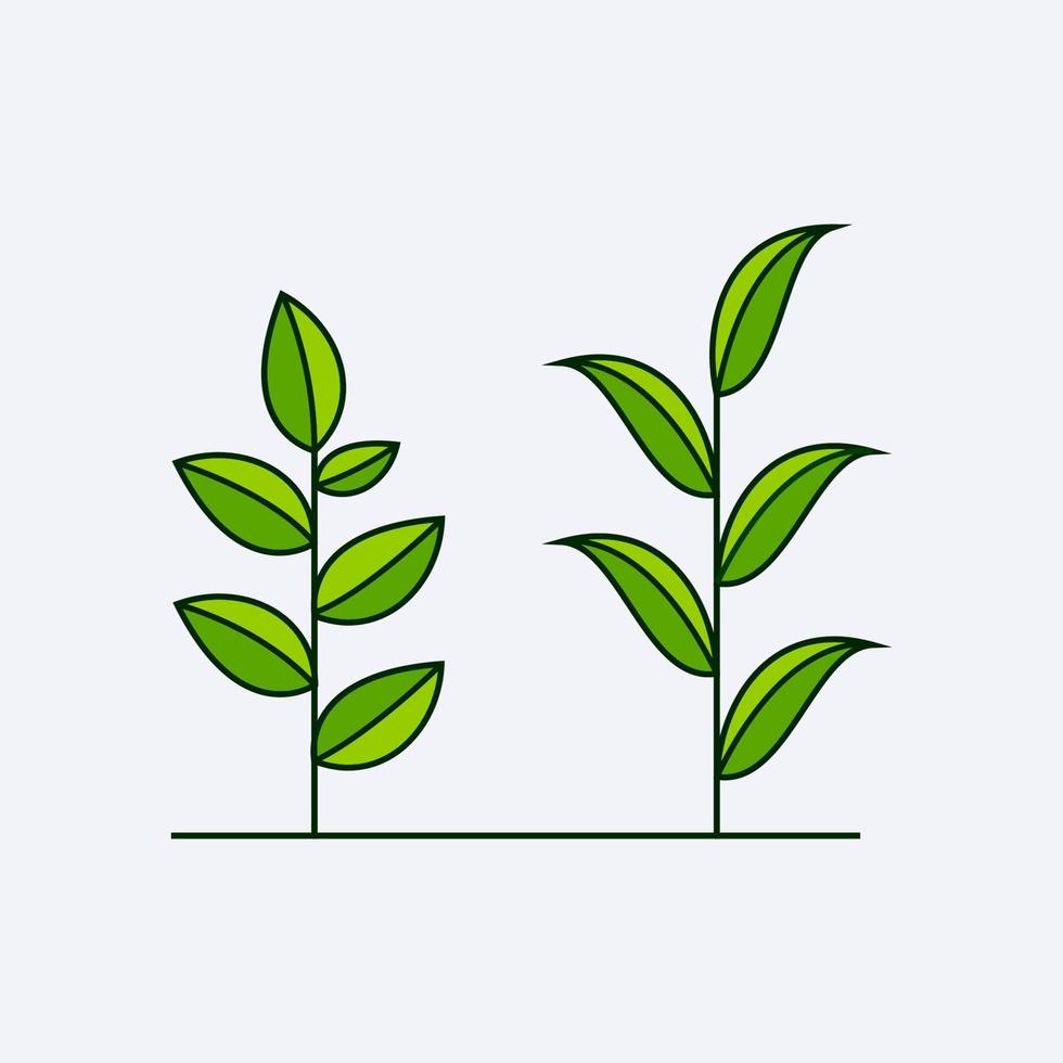 groen vers blad ontwerp vector