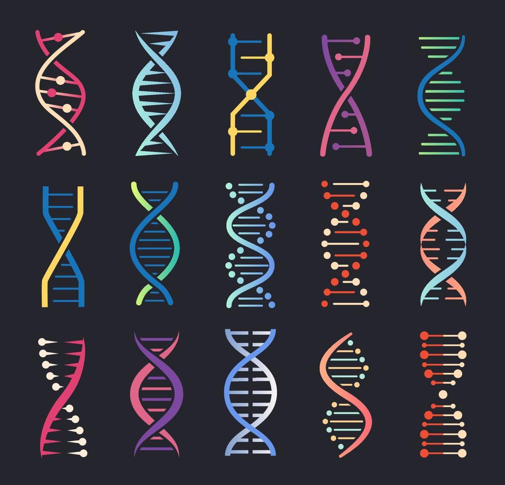 dna schroef pictogrammen. gen spiraal molecuul structuur, menselijk genetisch code, chromosoom keten logo. genetica wetenschap, biochemie icoon vector reeks