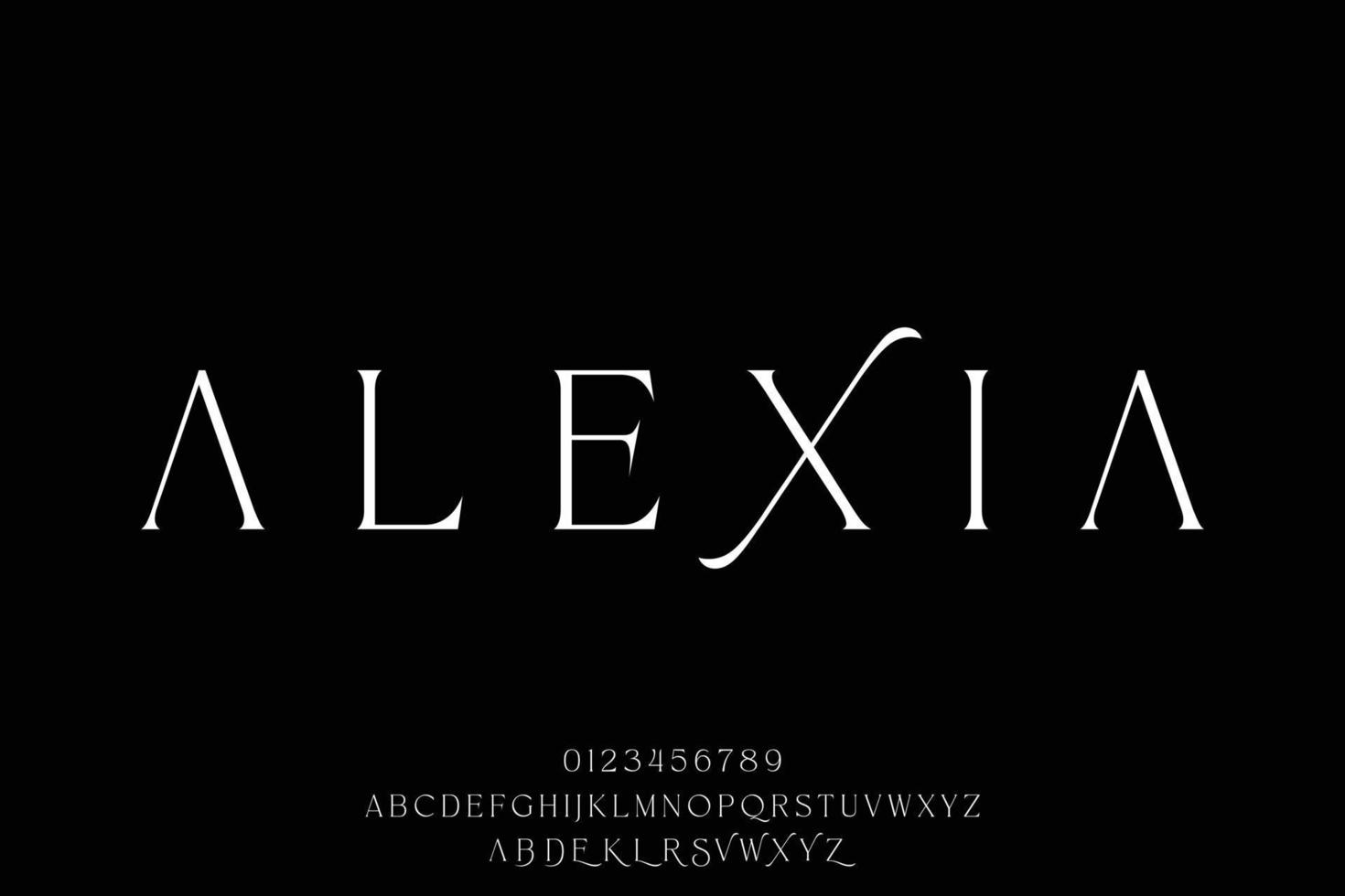 elegant luxe minimalistische serif Scherm doopvont vector met stilistisch afwisselend