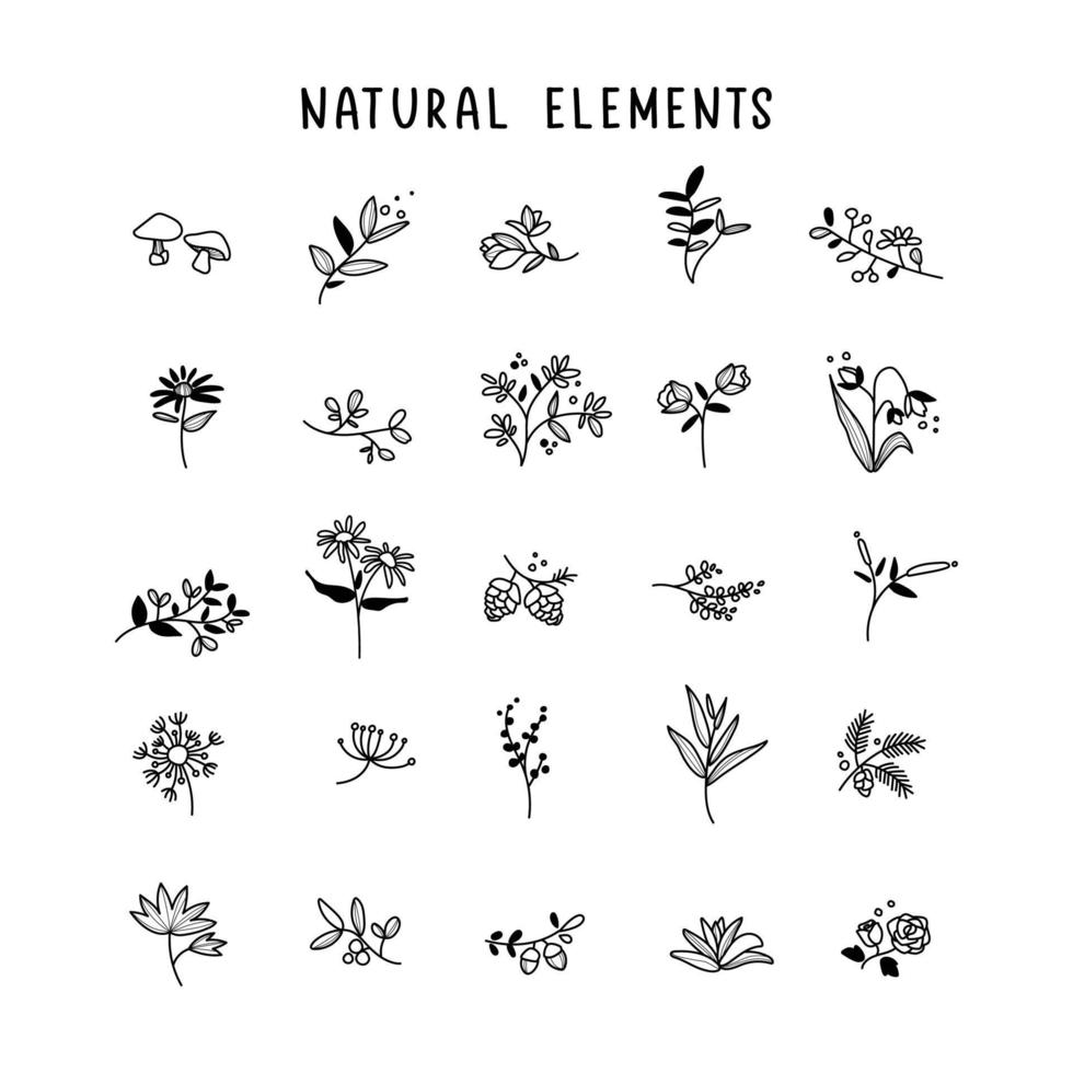 reeks van bloemen en botanisch elementen. vector illustratie