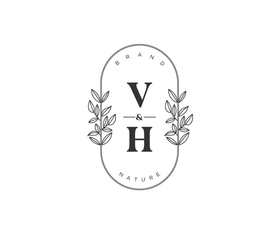 eerste vh brieven mooi bloemen vrouwelijk bewerkbare premade monoline logo geschikt voor spa salon huid haar- schoonheid winkel en kunstmatig bedrijf. vector