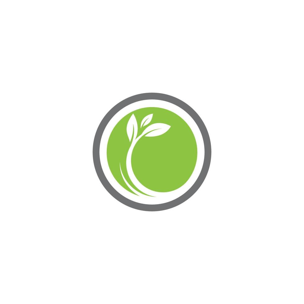 logo's van groene boom blad ecologie vector