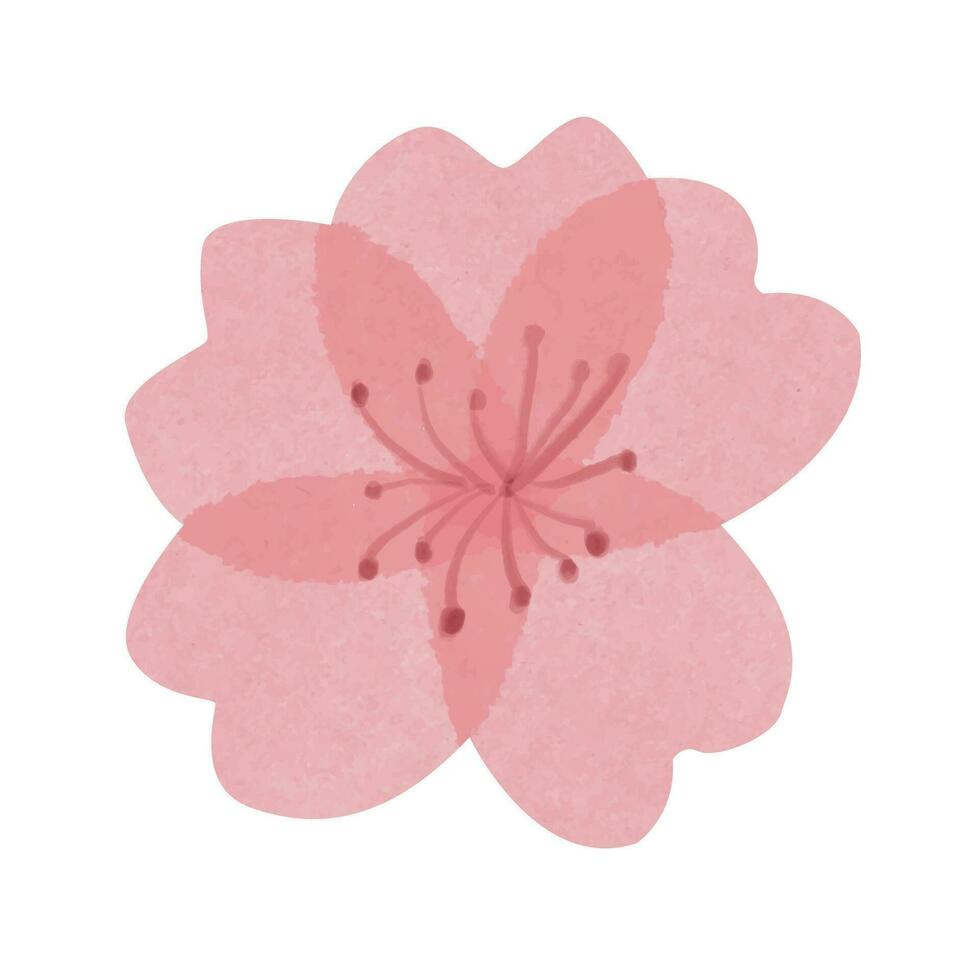 geïsoleerd mooi hand- getrokken inschrijving waterverf sakura bloem vector