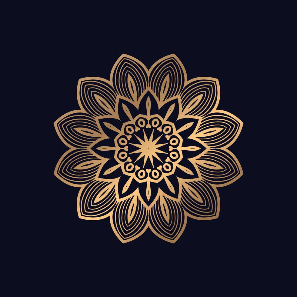 kleurrijk patroon mandala ontwerp achtergrond vector