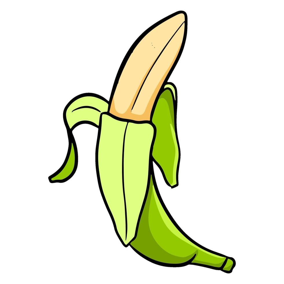 kleurrijke groene banaan vector