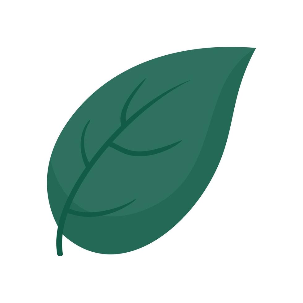 vector basilicum blad kruid kruid icoon illustratie