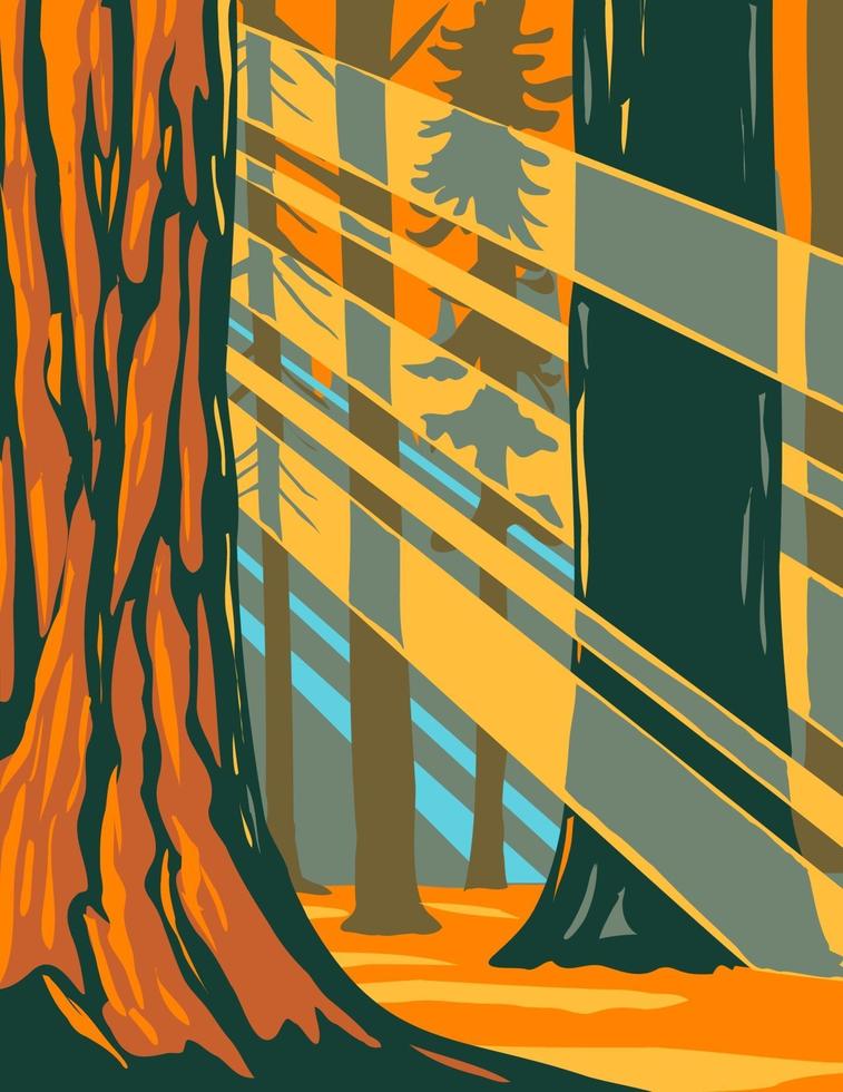 zonlicht door de gigantische sequoia-bomen van sequoia national park vector