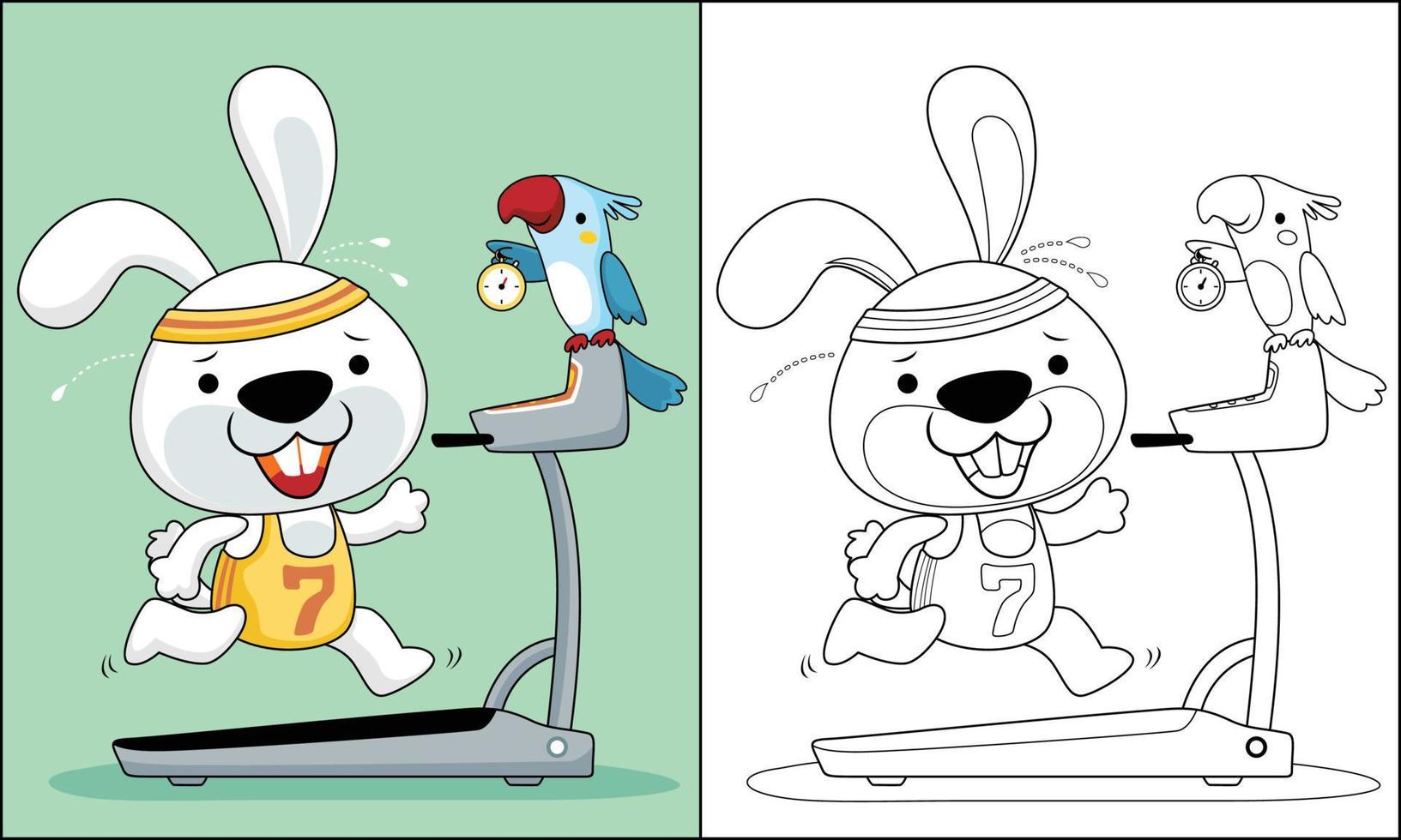 vector tekenfilm van grappig konijn rennen Aan loopband, vogel Holding tijdopnemer, kleur boek of bladzijde