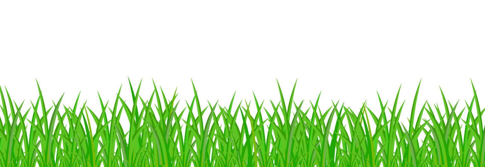 greeen gras achtergrond vector illustratie