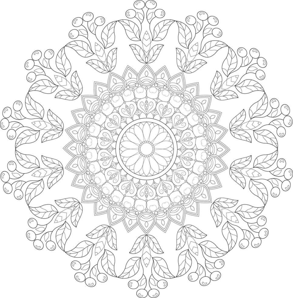 vector tekening voor kleur boek. meetkundig bloemen patroon. contour tekening Aan een wit achtergrond. mandala.