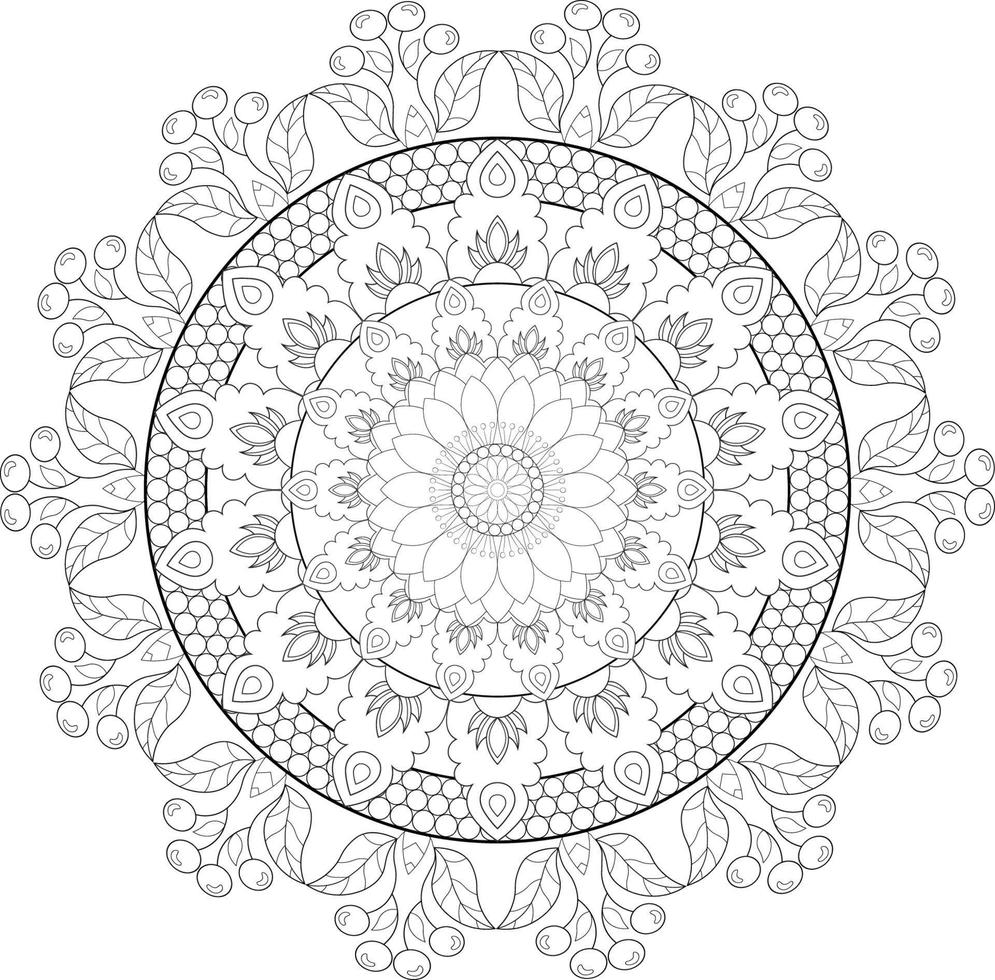 vector tekening voor kleur boek. meetkundig bloemen patroon. contour tekening Aan een wit achtergrond. mandala.