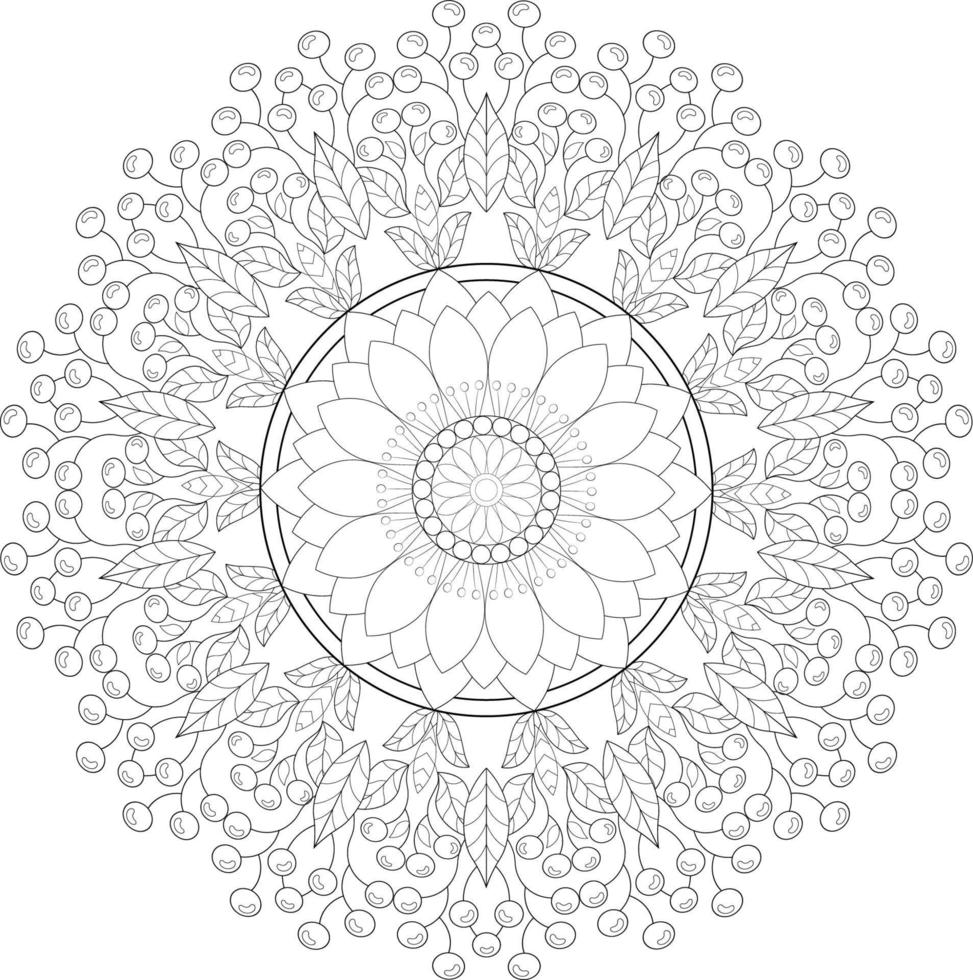 vector tekening voor kleur boek. meetkundig bloemen patroon. contour tekening Aan een wit achtergrond. mandala.