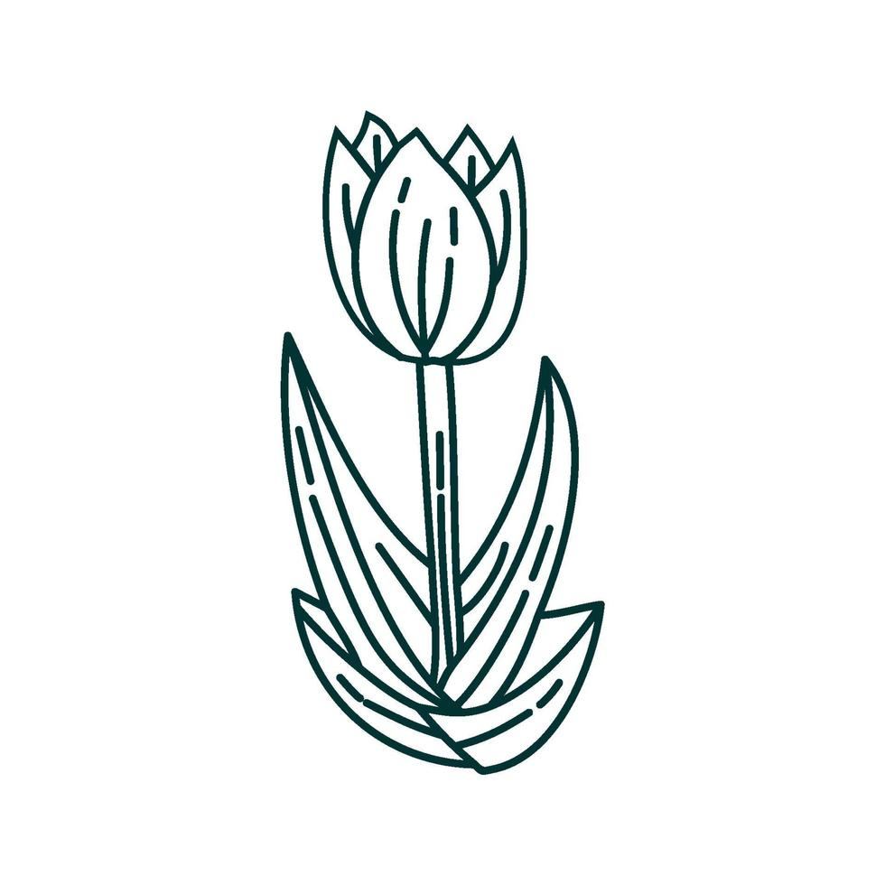 bloem blad illustratie ontwerpsjabloon vector