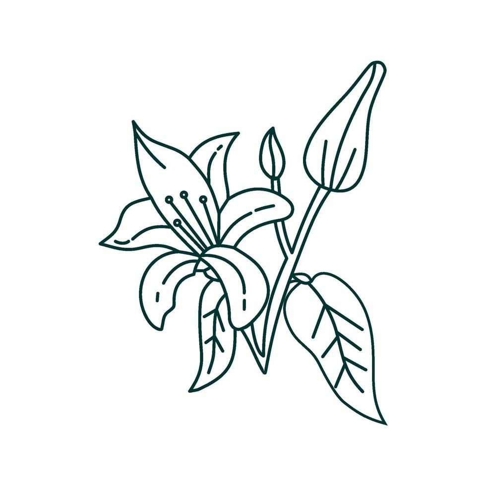 bloem blad illustratie ontwerpsjabloon vector