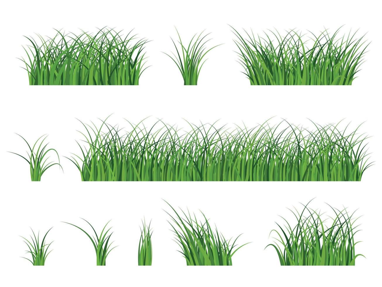 fragment van een prachtig groen gras geïsoleerd op een witte, vector illustratie