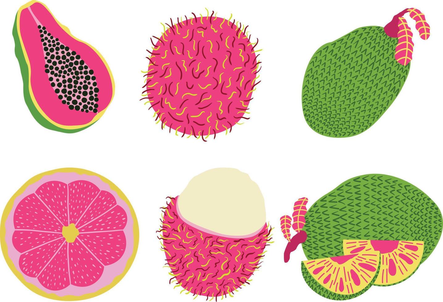 reeks van exotisch fruit icoon . ramboetan, papaja, limoen, pitahaya, pompelmoes. vector illustratie