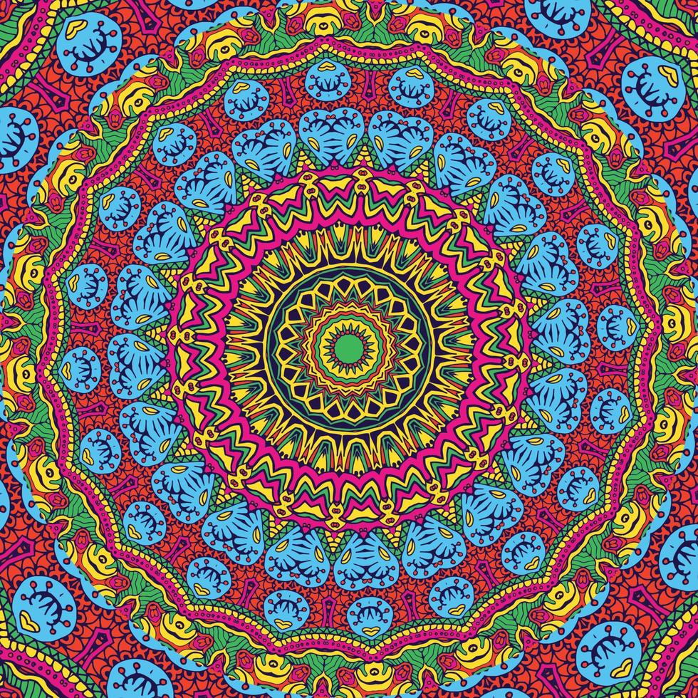 een kleurrijk mandala met een patroon vector