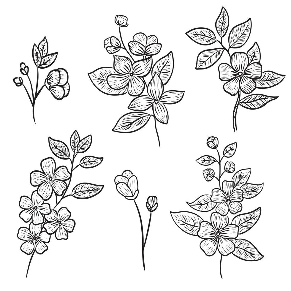 reeks van hand- getrokken mooi esthetisch bloemen lijn tekening natuurlijk botanisch decoratie vector