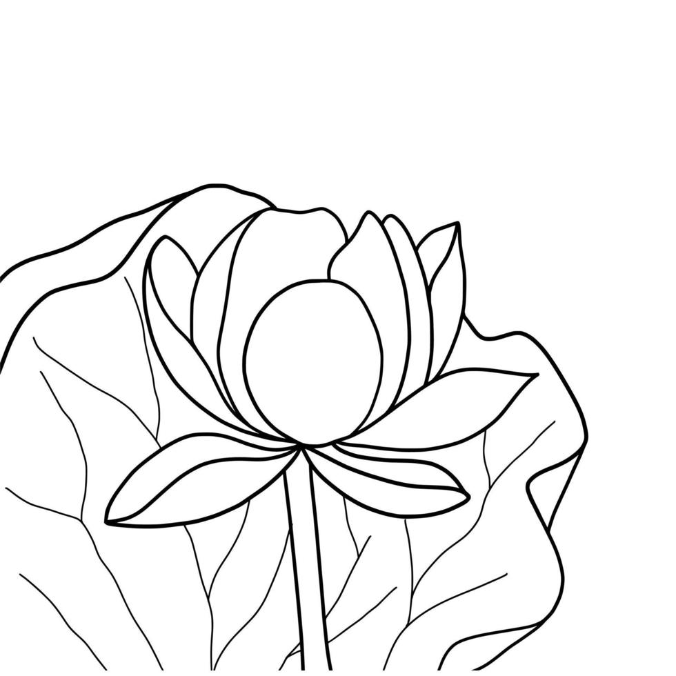 schets lotus bloem geïsoleerd Aan wit achtergrond. vector illustartion