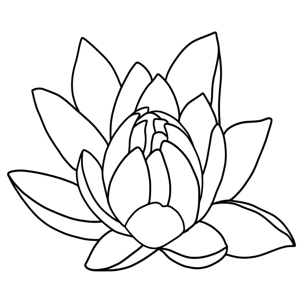 schets lotus bloem geïsoleerd Aan wit achtergrond. vector illustartion