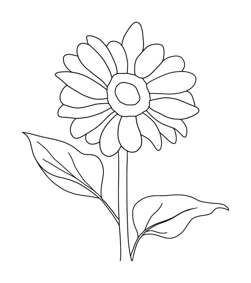 schets zonnebloem geïsoleerd Aan wit achtergrond. vector illustratie.