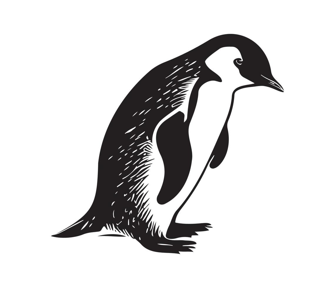 pinguïn gezicht, silhouetten pinguïn gezicht, zwart en wit pinguïn vector