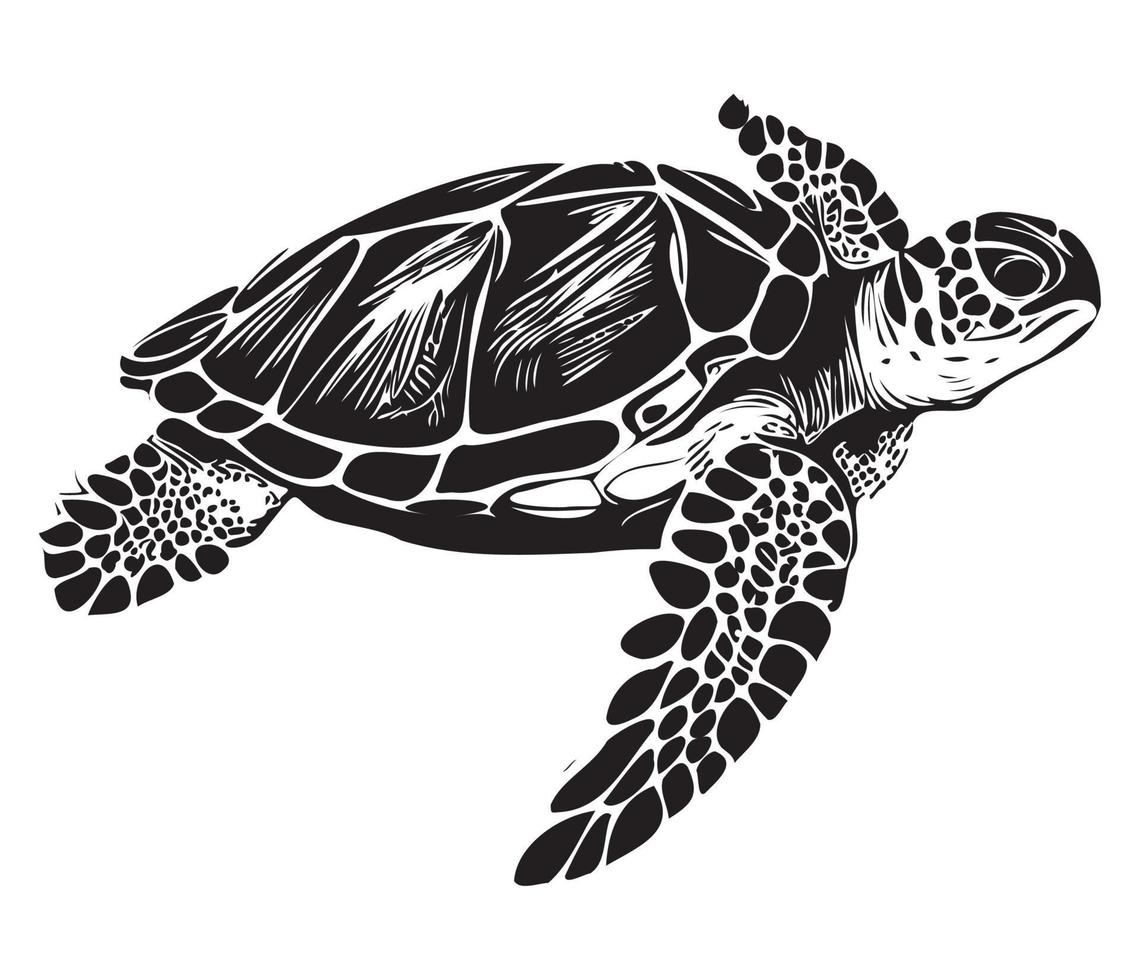 zwemmen zee schildpad icoon zee dier zwart symbool, onderwater- dieren vector