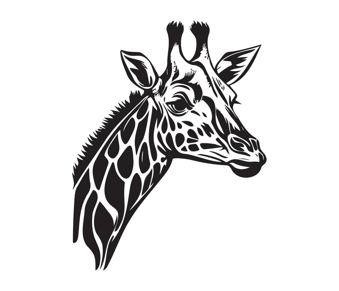 giraffe gezicht, silhouetten giraffe gezicht, zwart en wit giraffe vector