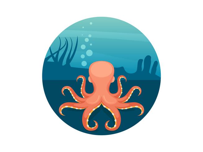 Unieke Octopus-voedselvectoren vector