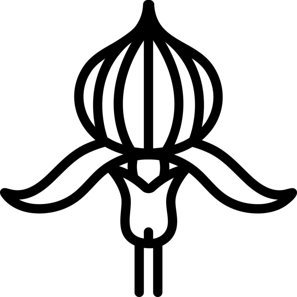 lijn icoon voor dame s pantoffel orchidee vector
