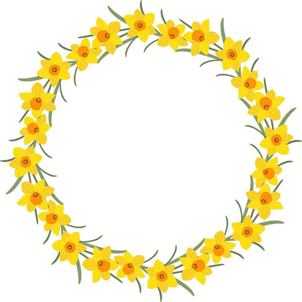 narcissen circulaire bloemen krans vector