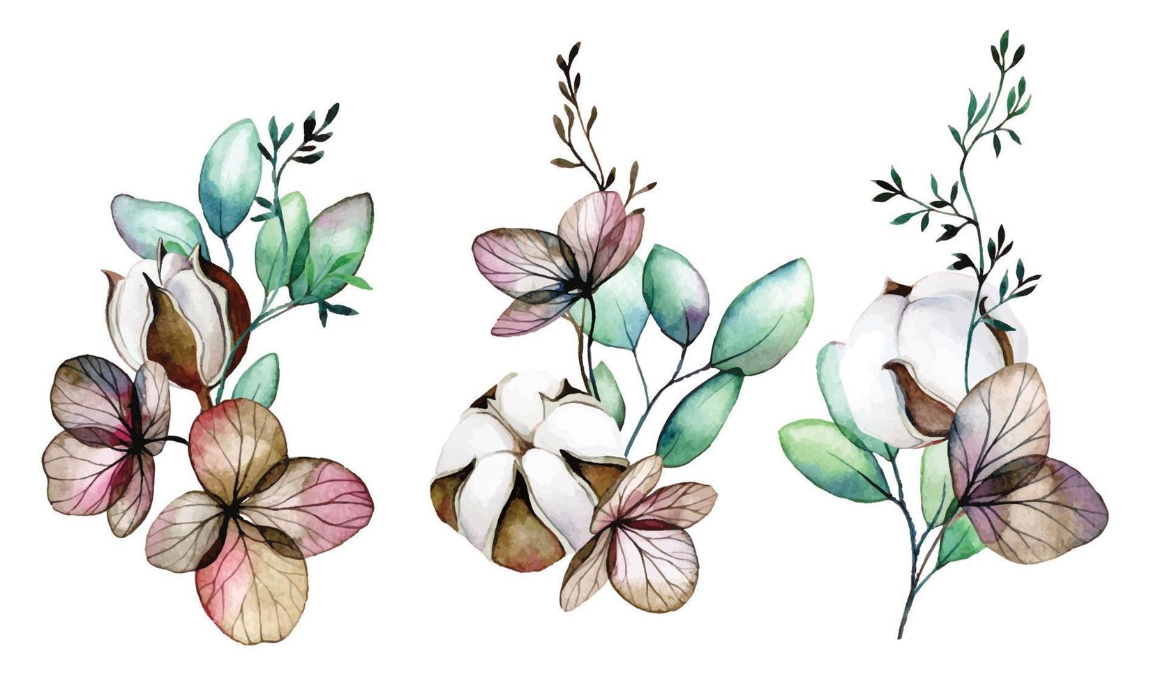 waterverf tekening. reeks van boeketten, composities van katoen bloemen, droog hortensia bloemen en eucalyptus bladeren vector