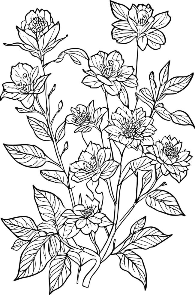 botanisch lijn tekening, wijnoogst botanisch kleur Pagina's, botanisch elementen, botanisch bloem illustratie, botanisch illustratie zwart en wit, botanisch lijn tekening bladeren, botanisch lijn kunst. vector